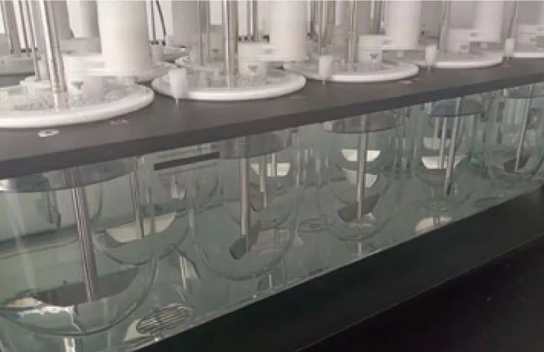 Probador de disolución – QualiPharma™ DIS 2014 (Avanzado)